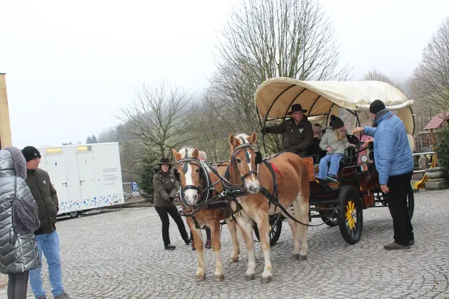 Waldhausener Advent 2025 | Foto: MeinBezirk Perg/Köck
