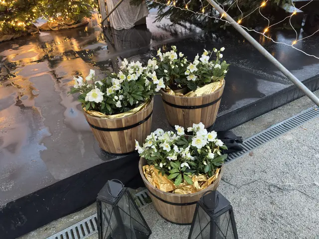 Foto: Anna Maria Kaufmann