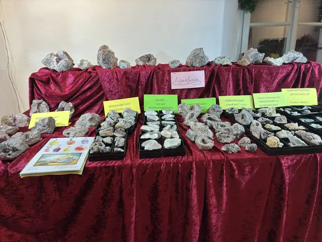 Foto: Anna Maria Kaufmann