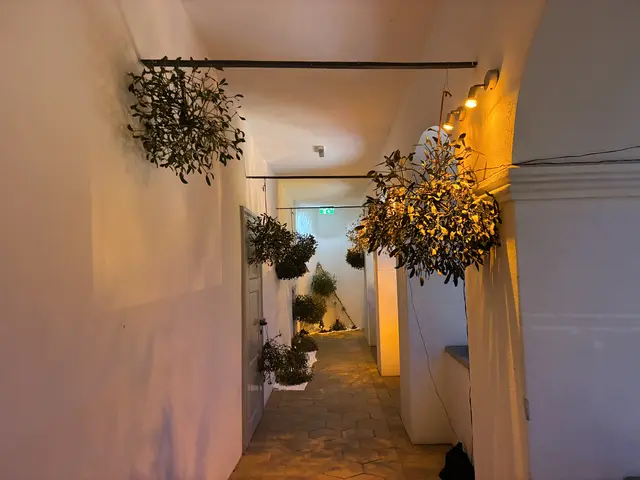 Foto: Anna Maria Kaufmann