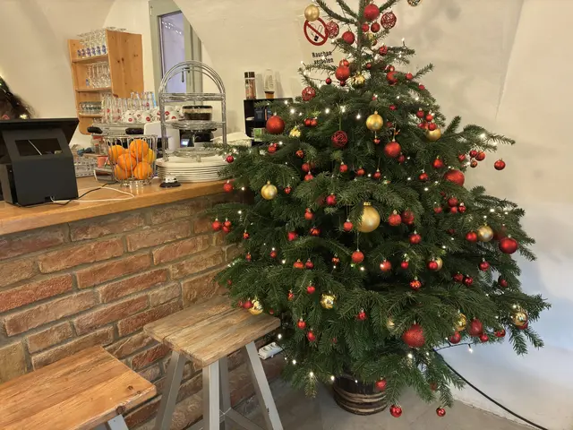 Foto: Anna Maria Kaufmann