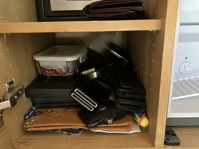 Razzia: Im Mittelpunkt der Ermittlungen steht eine Unternehmerfamilie aus dem Gastgewerbe. Der Verdacht lautet auf mehr als 200.000 Euro hinterzogene Steuern. | Foto: BMF/Steuerfahndung