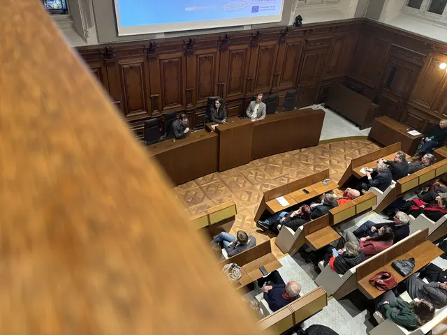 Asylkoordination und UNHCR informieren im Rathaus über Asyl und Migration. | Foto: MeinBezirk/Sarah Konrad