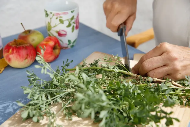 Foto: Karin Buchart/EIAP