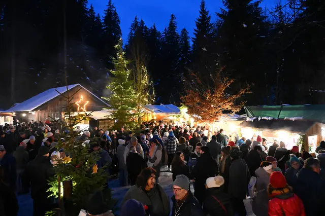 Foto: Wilfried Fischer