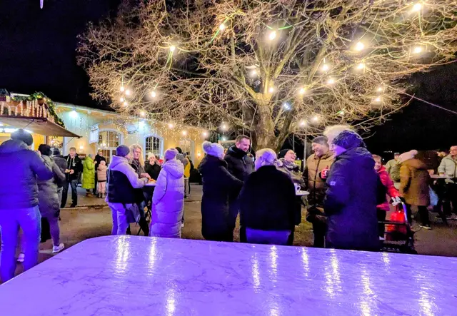 Besucher 2024 | Foto: Jugendpalette Traun