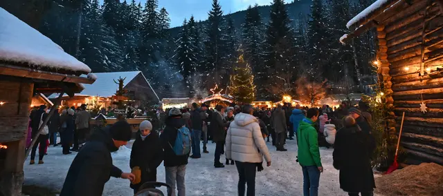 Foto: Wilfried Fischer