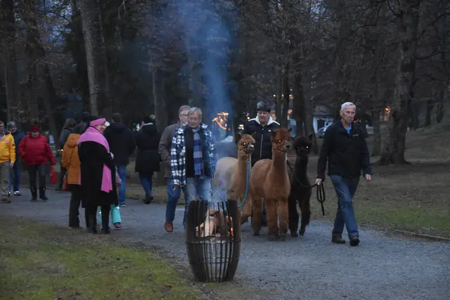 Foto: MeinBezirk/Michael Strini
