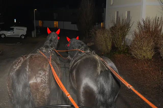 Foto: Markus Zechbauer/zema-medien.de