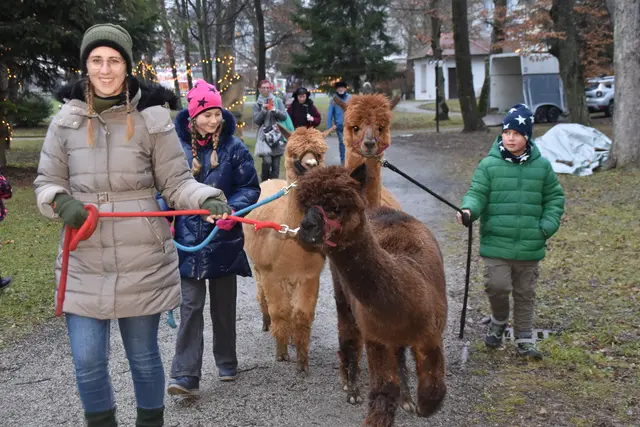 Foto: MeinBezirk/Michael Strini