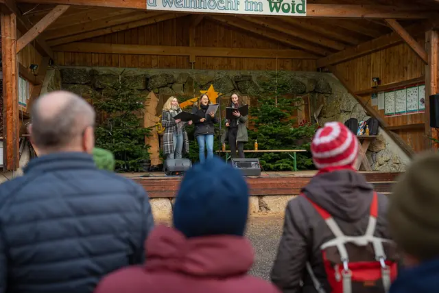 „d´Weihnocht im Woid“ in Pabneukirchen 2025 | Foto: Hausi Flo