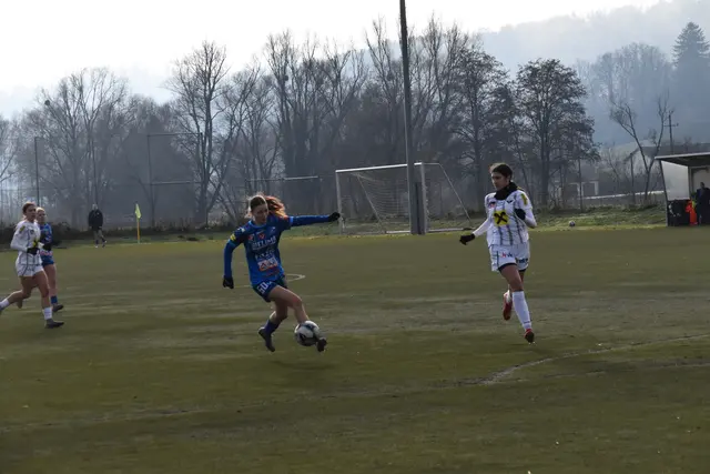 Foto: MeinBezirk/Michael Strini