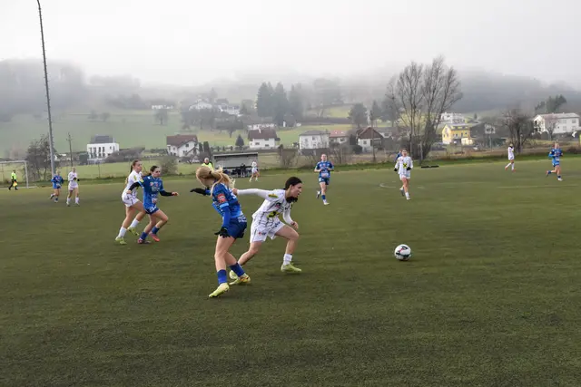 Foto: MeinBezirk/Michael Strini