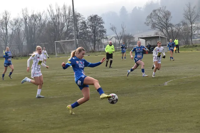 Foto: MeinBezirk/Michael Strini