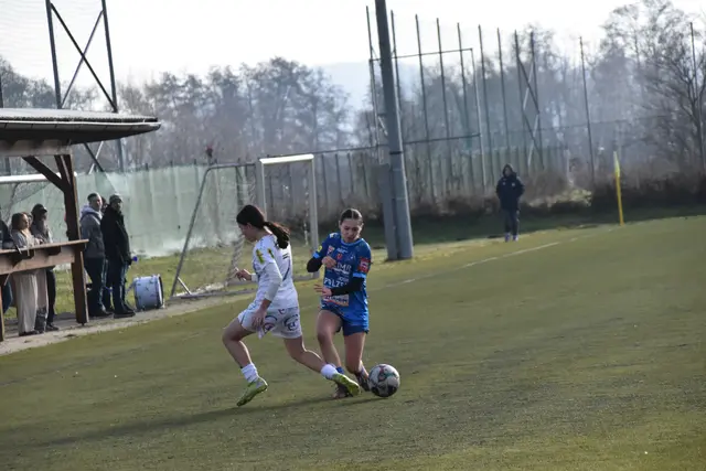 Foto: MeinBezirk/Michael Strini