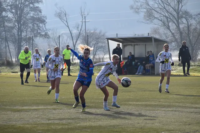 Foto: MeinBezirk/Michael Strini