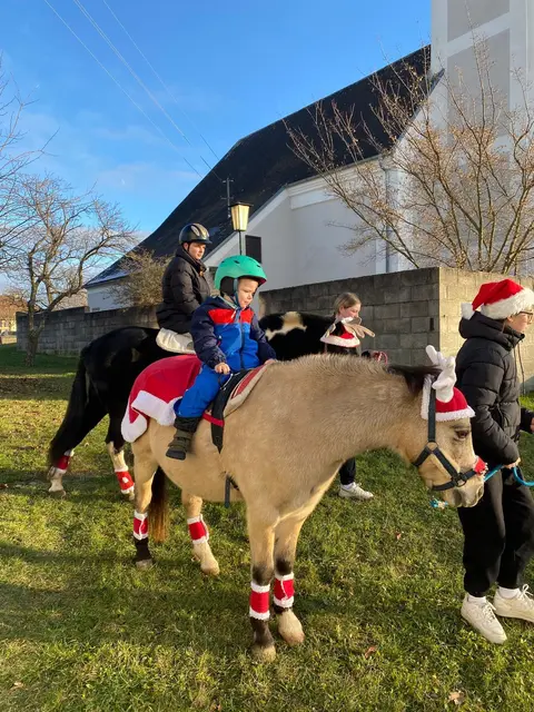 Ponyreiten war eine Attraktion für die Kinder. | Foto: Bernhard Herics