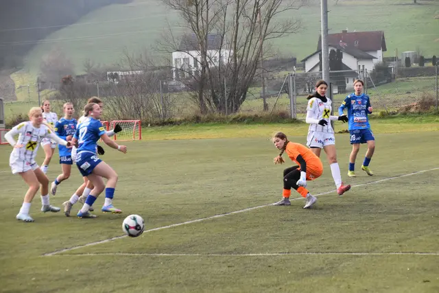 Foto: MeinBezirk/Michael Strini