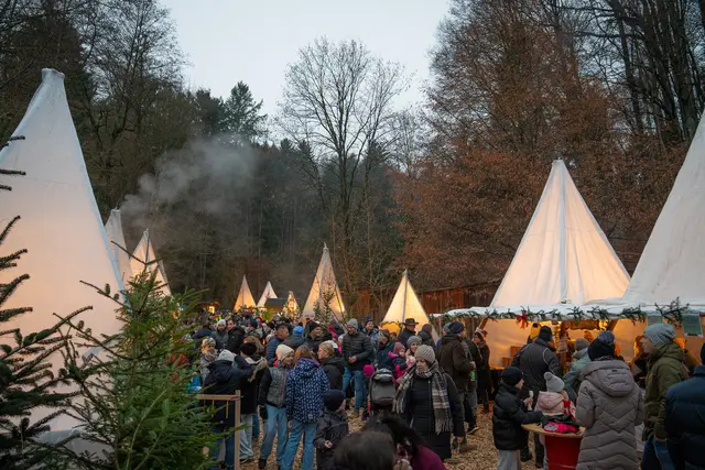„d´Weihnocht im Woid“ in Pabneukirchen 2025 | Foto: Hausi Flo