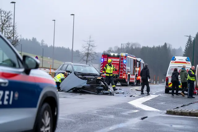 Foto: TEAM FOTOKERSCHI / MARTIN SCHARINGER