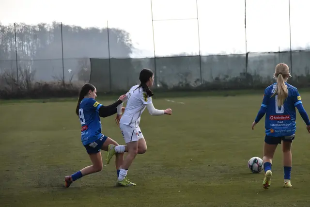 Foto: MeinBezirk/Michael Strini