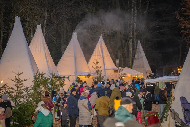 „d´Weihnocht im Woid“ in Pabneukirchen 2025 | Foto: Hausi Flo