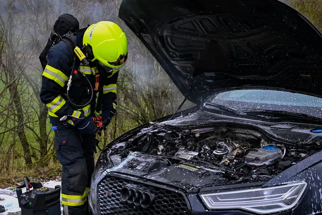 Foto: Team Fotokerschi/Werner Kerschbaummayr