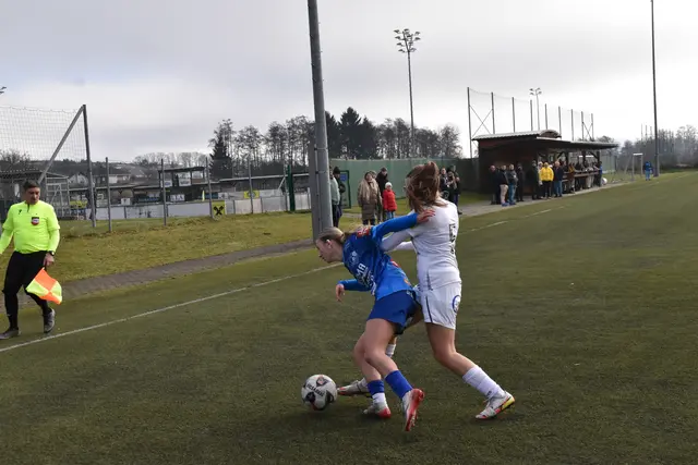 Foto: MeinBezirk/Michael Strini