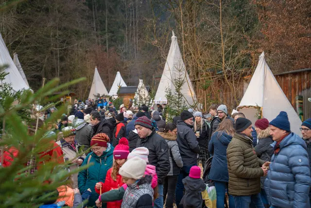 „d´Weihnocht im Woid“ in Pabneukirchen 2025 | Foto: Hausi Flo