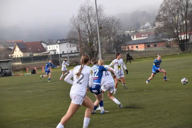 Foto: MeinBezirk/Michael Strini