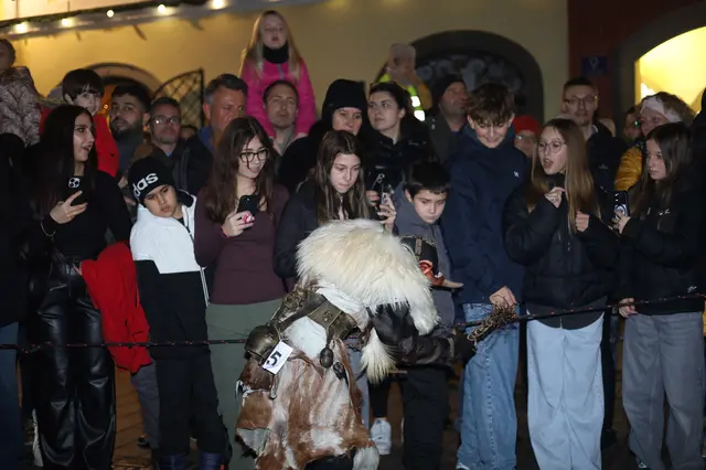 Foto: Ali/zema-medien.de