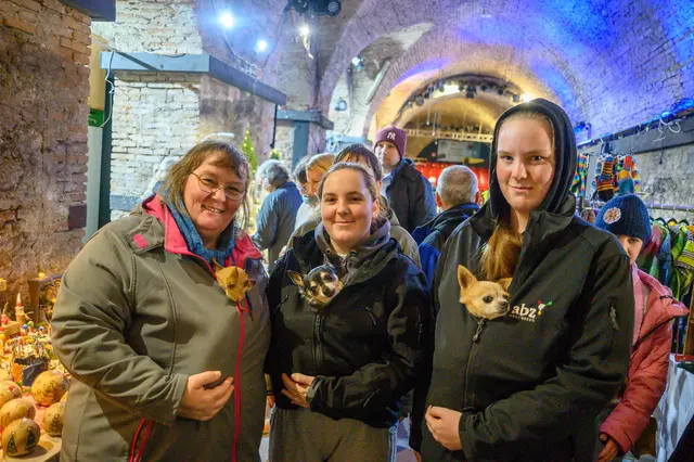 Foto: Wolfgang Simlinger