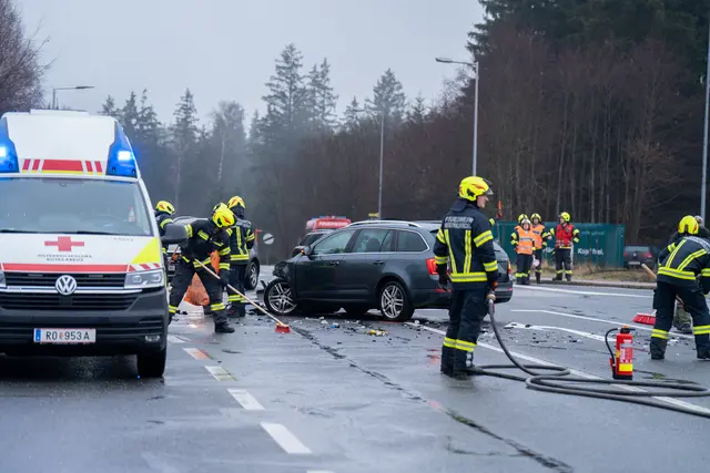 Foto: TEAM FOTOKERSCHI / MARTIN SCHARINGER