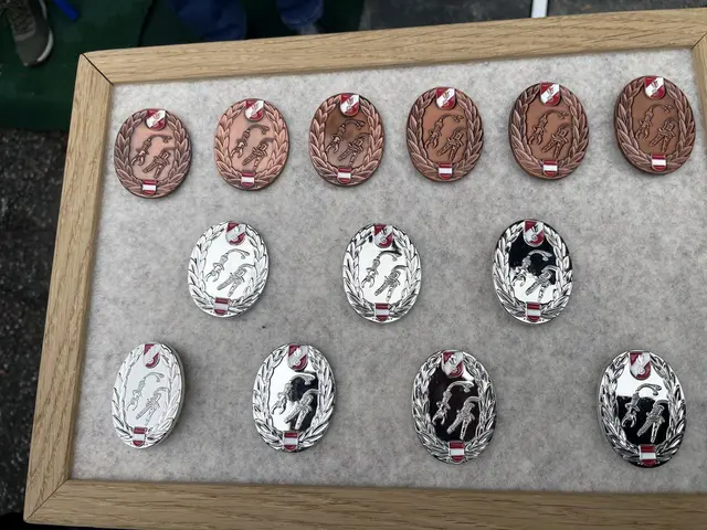 Die Abzeichen in Silber und Bronze der Technischen Hilfeleistungsprüfung. | Foto: FF Stanz