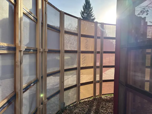 Ein Weg mit durchsichtigen Wänden umrundet den Baum. | Foto: MeinBezirk/Gerda Sammer-Schmidt