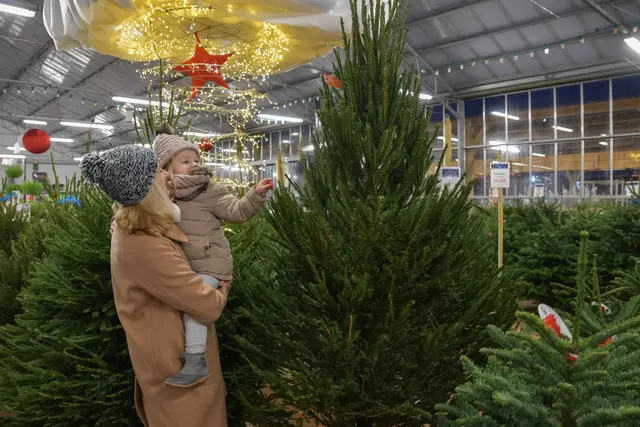 Symbolfoto | Foto: Godi/Panthermedia