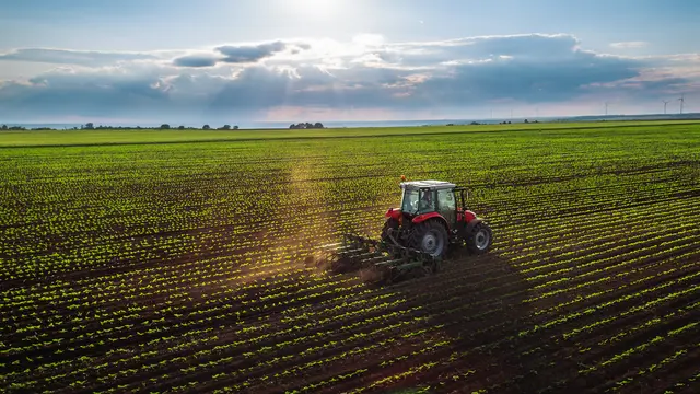 In Bezug auf das Programm für ländliche Entwicklung wurden für 2026 Mittel in der Höhe von 26 Millionen Euro als Finanzierungsbeitrag von Kärntner Seite freigegeben. (Symbolfoto) | Foto: stock.adobe.com/at/ValentinValkov