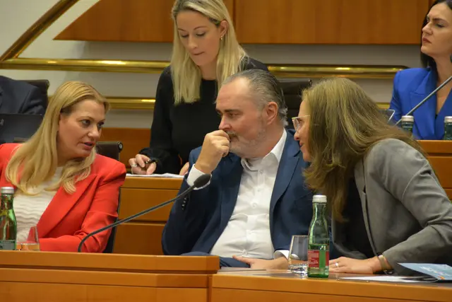 Doskozil bat die Opposition bei der Budgetrede Ende November, sachlich über das Budget zu diskutieren. 