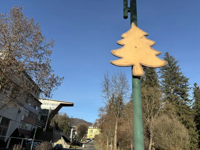 Im Kurpark Bad Gleichenberg kann man die stille Zeit des Advents heuer noch bewusster erleben. | Foto: MeinBezirk/Gerda Sammer-Schmidt