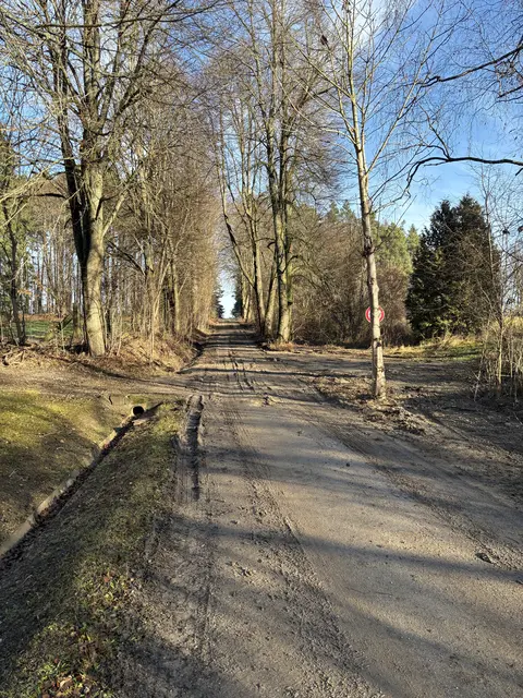 Foto: MeinBezirk/Bernhard Schabauer