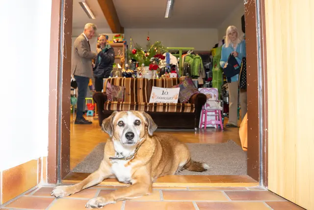 Foto: Dieter Arbeiter