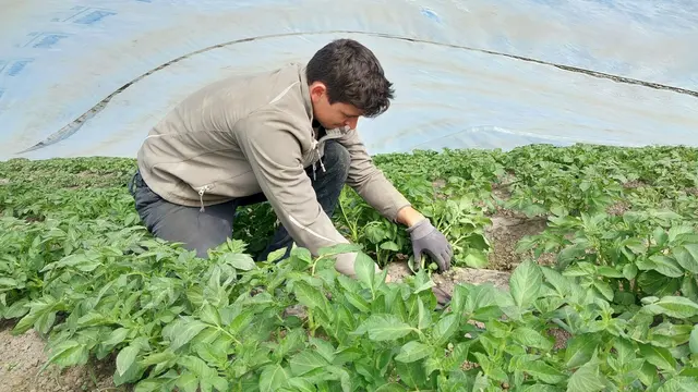 Symbolbild | Foto: Anita Kamptner/LK Niederösterreich