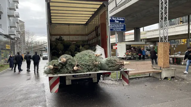 Die Christbäume werden direkt von Produzenten zu den Verkaufsständen geliefert – wie hier bei der Millennium City. (Archiv) | Foto: Kathrin Klemm