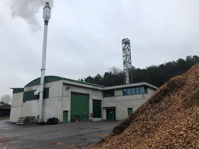 Das Biomasseheizwerk ist seit 1997 in Betrieb. | Foto: Martin Wurglits