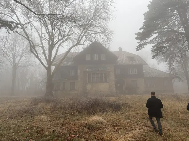 Stammersdorf: Von der Lage am Bisamberg würde die Behandlung besonders profitieren. Die Kinder würden Abstand von Dingen bekommen, die ihnen nicht guttun.  | Foto: Luise Schmid/MeinBezirk