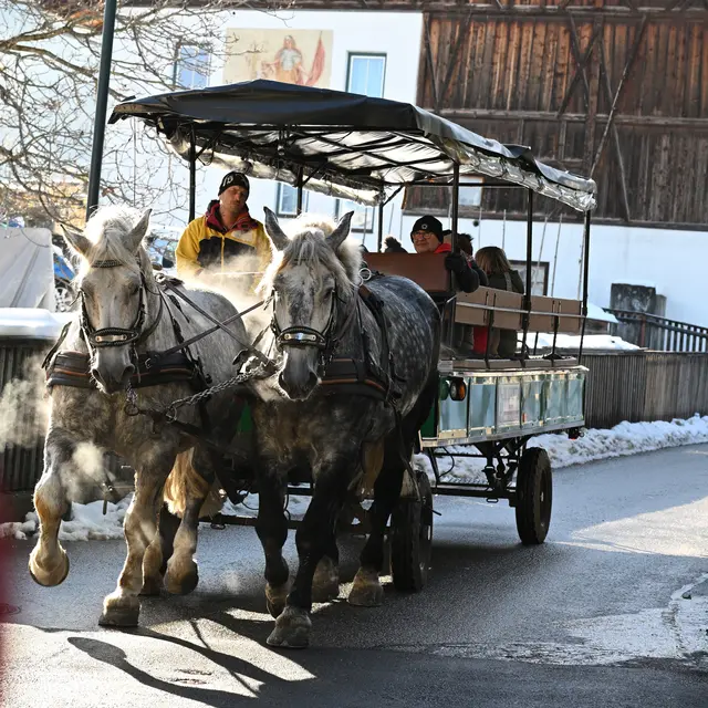 Mit den Pferdekutschen erkundeten die Reiseteilnehmer:innen die Umgebung von Axams. | Foto: Josef Dolzer