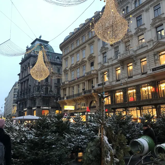 Auch in der Inneren Stadt startet am 12. Dezember der Christbaumverkauf. | Foto: Klemm/MeinBezirk