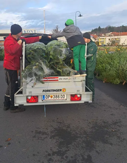 Echte Christbäume bleiben klar die erste Wahl – nicht zuletzt wegen Regionalität, natürlichem Duft und festlicher Atmosphäre. | Foto: Daniel Fuchs