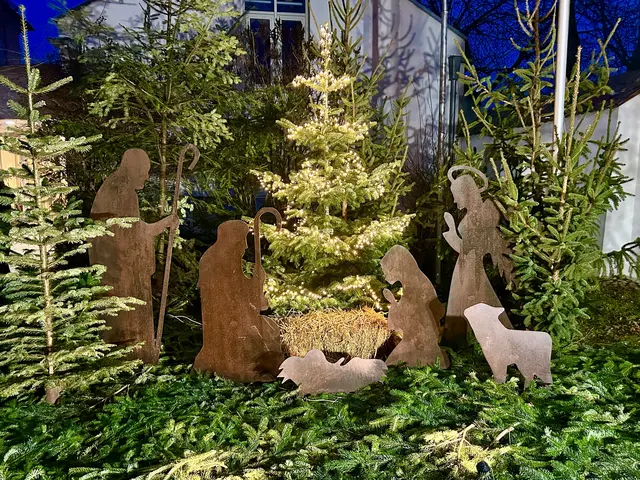 Eine neue Krippe schmückt heuer an Weihnachten 2025 den Pfarrplatz vor dem Schärdinger Pfarrheim. | Foto: Stadtpfarre St. Georg