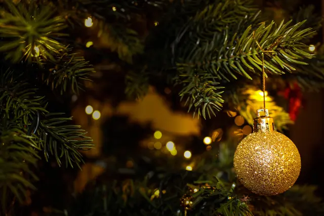 Goldene Kugeln brauchen auch den richtigen Christbaum. Wo es diesen gibt, sagt MeinBezirk. | Foto: Valeria Vinnik